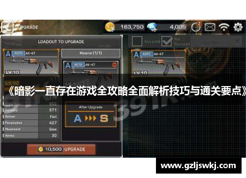 《暗影一直存在游戏全攻略全面解析技巧与通关要点》