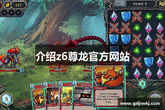介绍z6尊龙官方网站